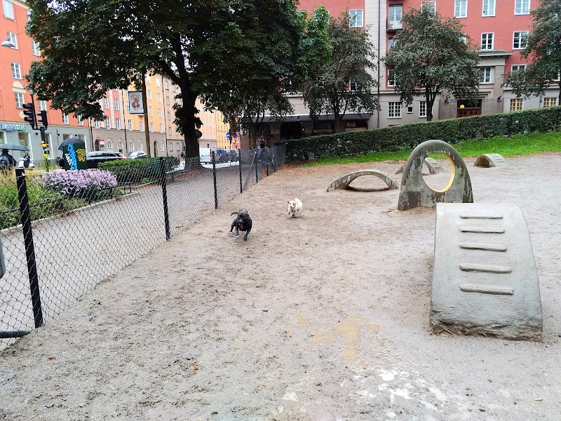 Dog park