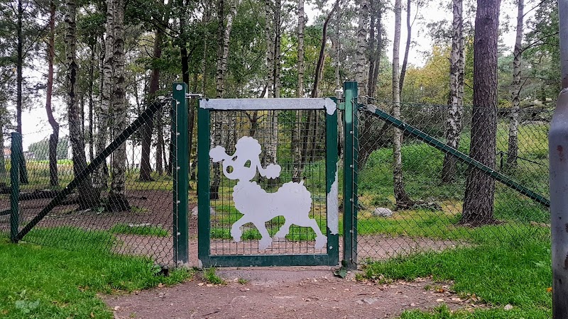 Dog park