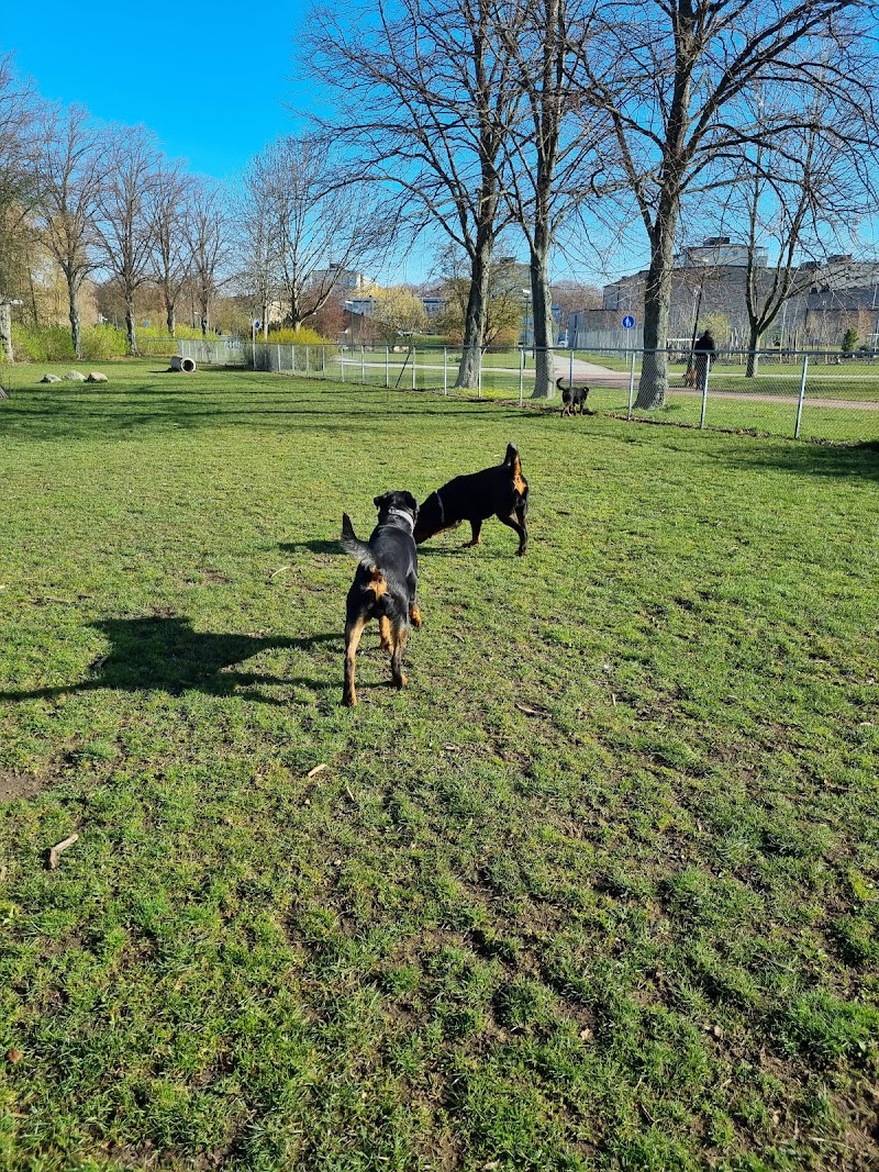 Dog park Stadium Park East
