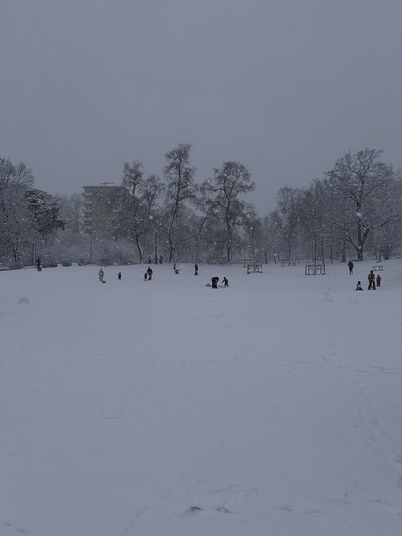 Kampementsbacken dog park