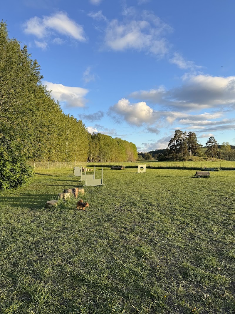 Hundrastgård Akalla