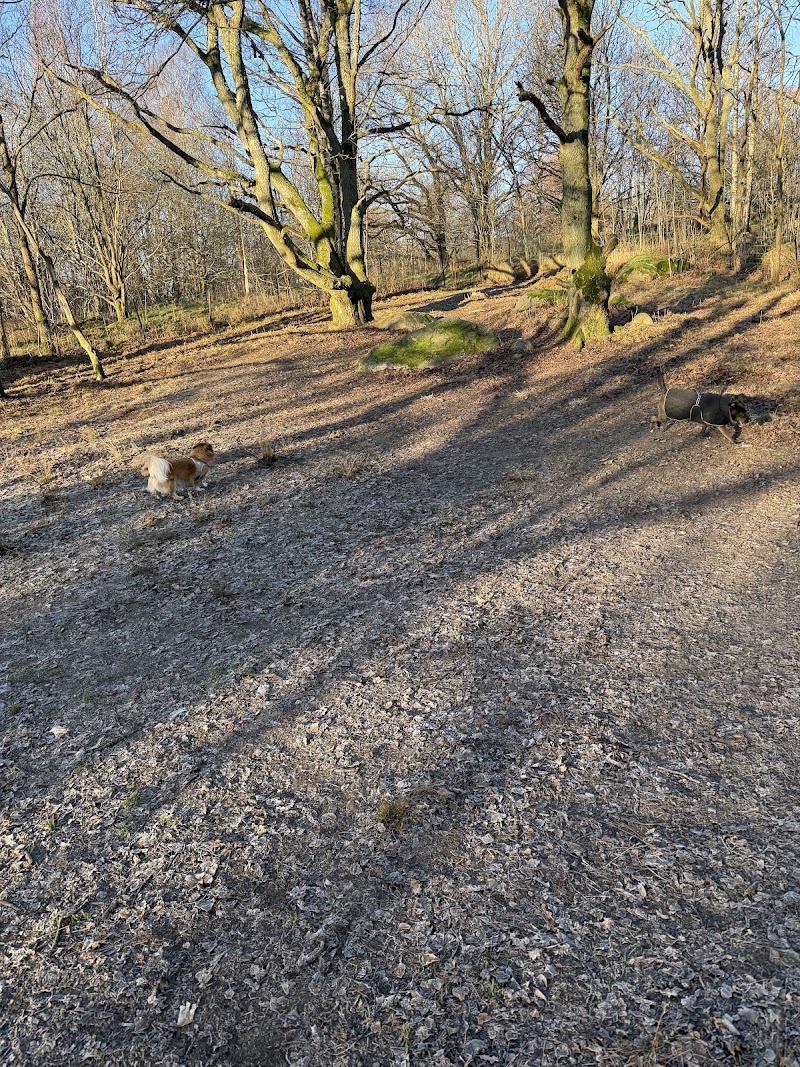 Bräckeberget Rastgård