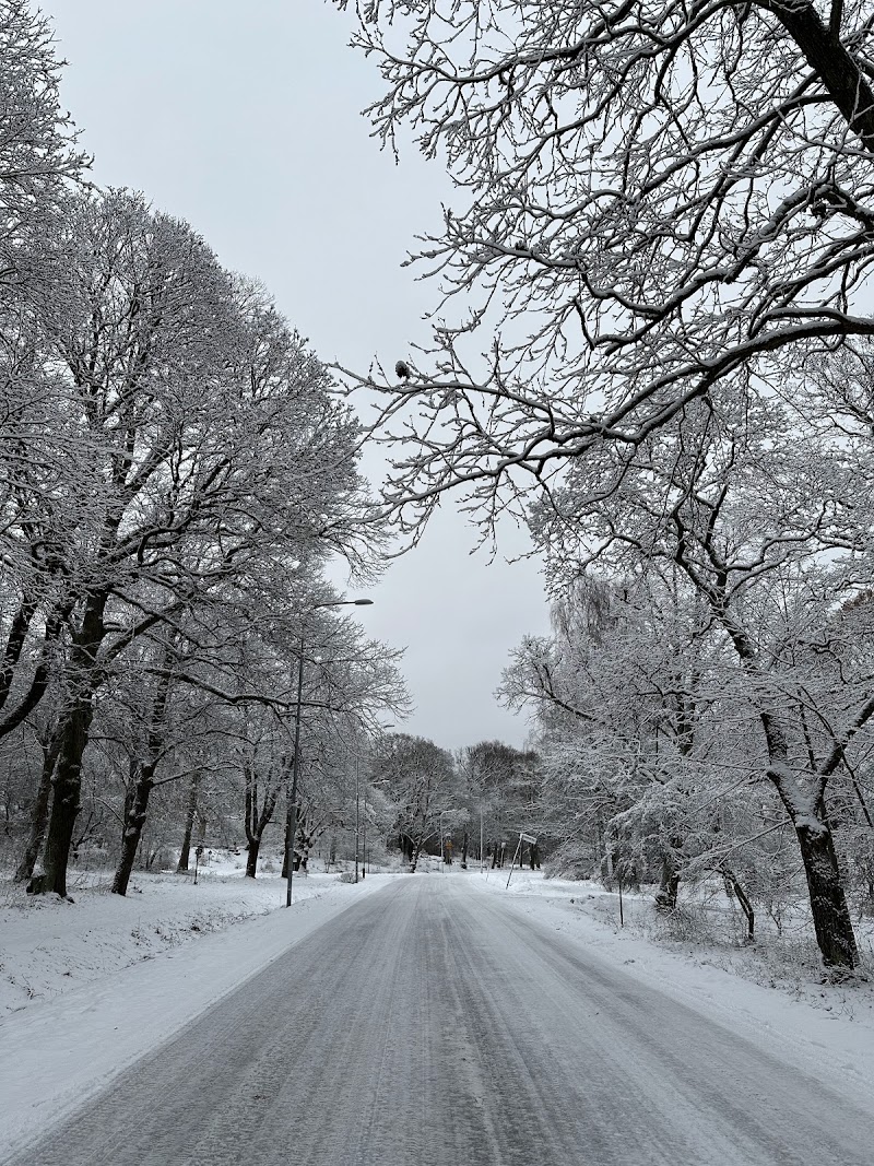 Hundrastgård Djurgården
