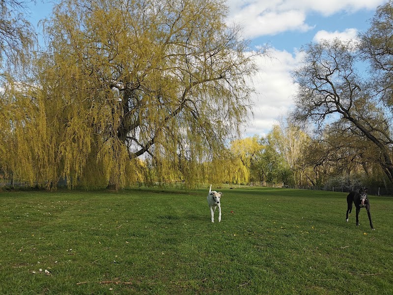 Remonthagen dog park