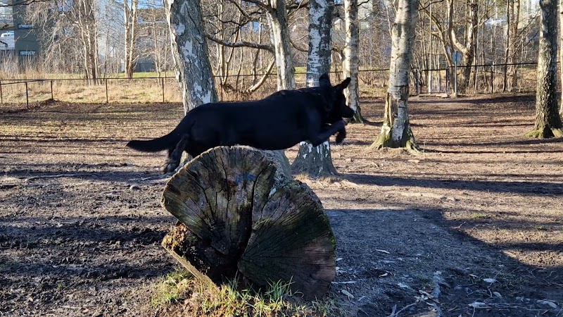 Positivparkens hundrastgård