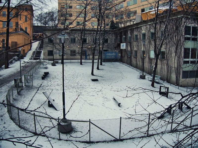 Fatbursparken dog park