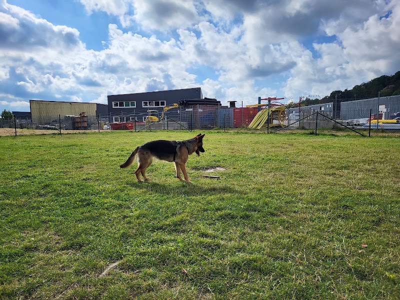 Hundrastgården Aröd