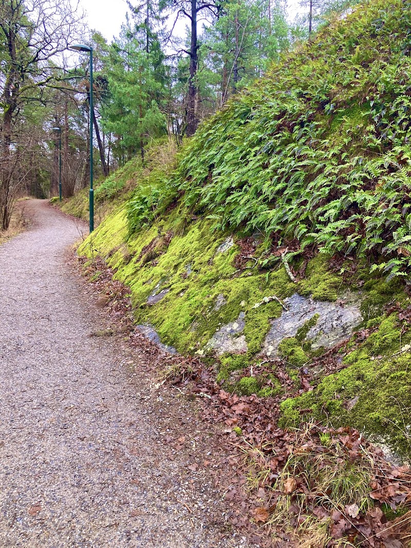 Sätra hundstrand