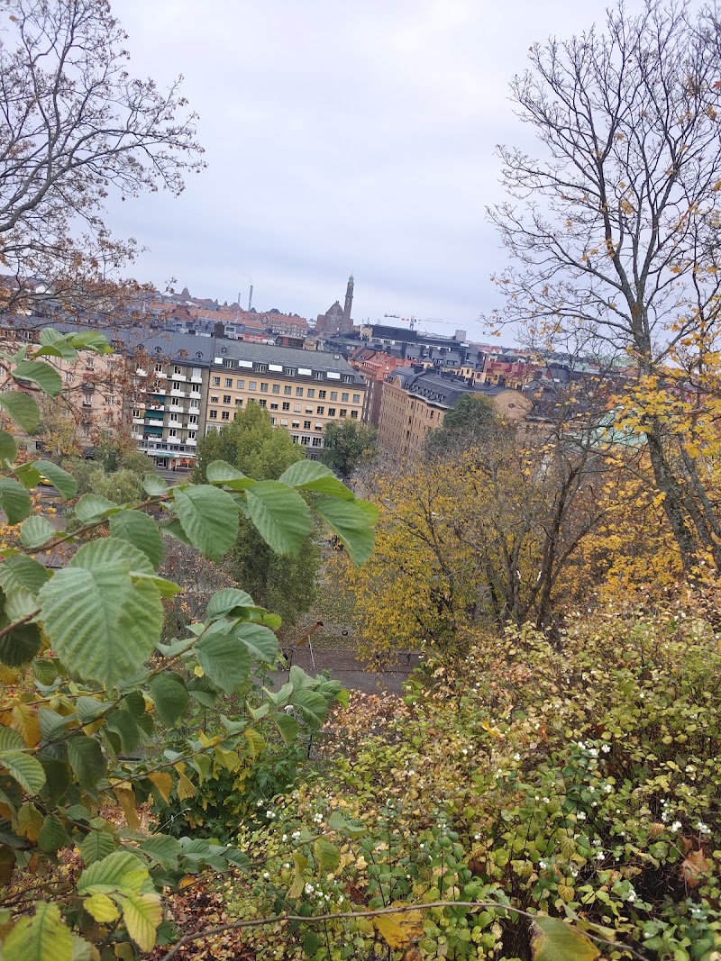 Vasaparkens hundrastgård