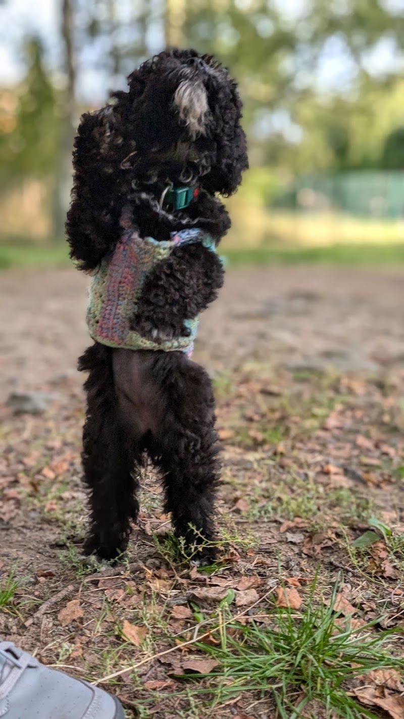Hundpalatset