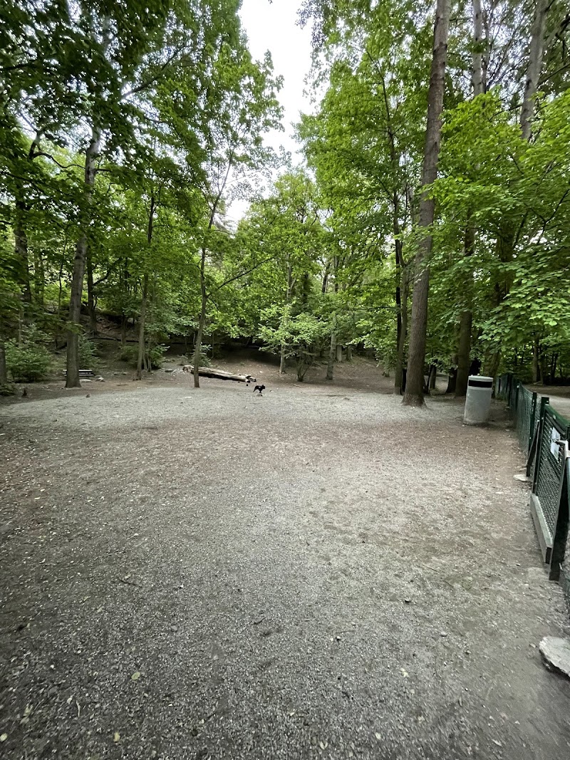 Mörtviksparken dog park
