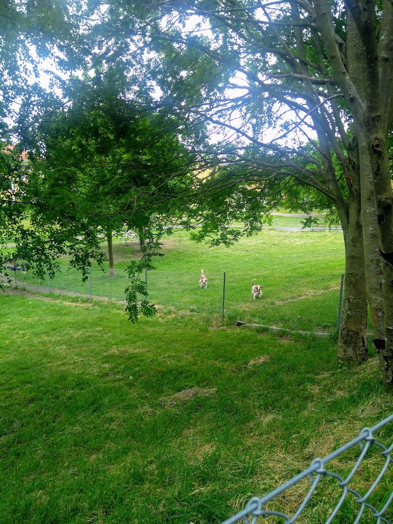 Bifrostparkens hundrastgård