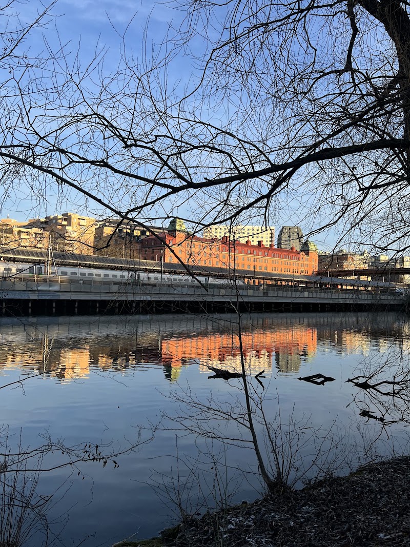 Kvarnbergets hundrastgård