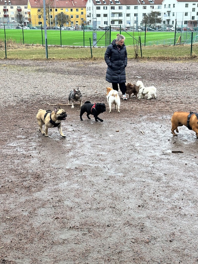 Slottsskogen Dog Park