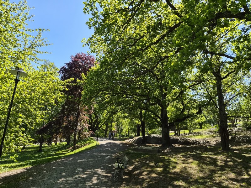 Rålis hundrastgård