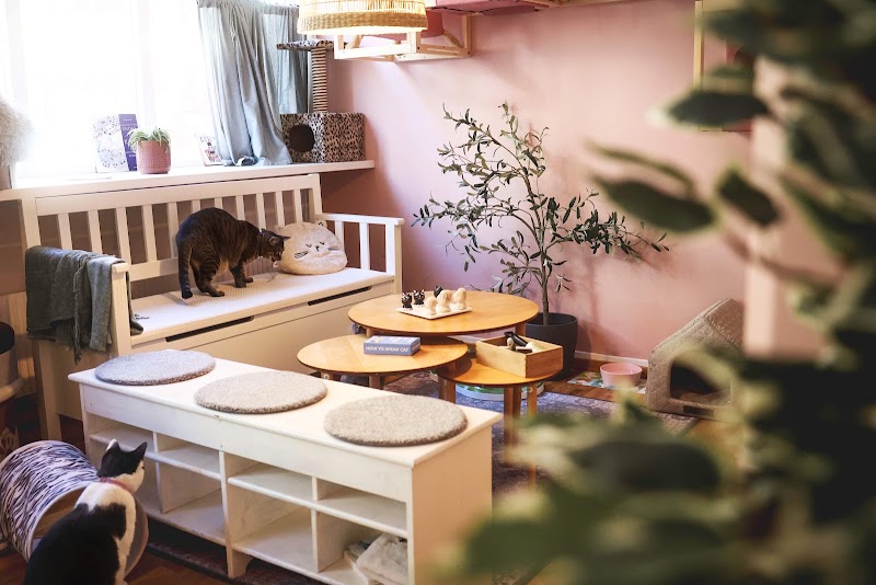 Purrfect Café