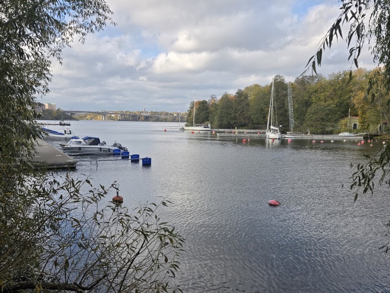 Reimersholme dog park
