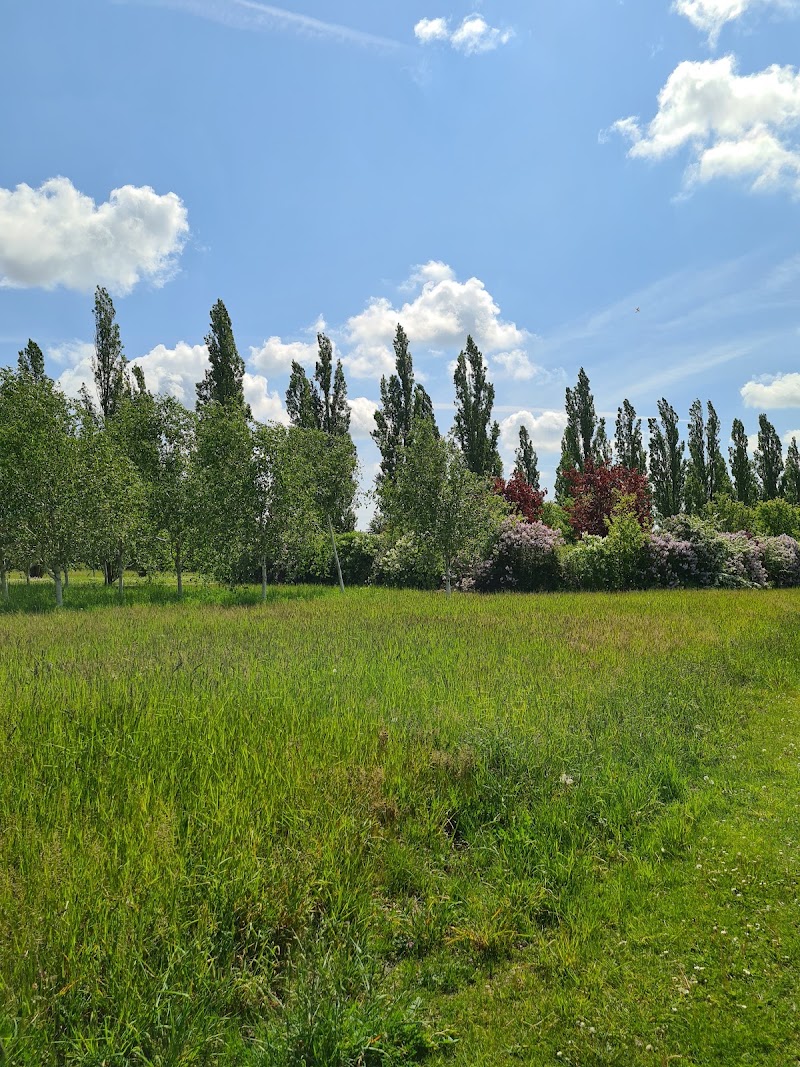 Flygfältsparkens hundrastgård