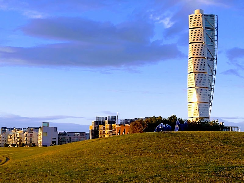 Best dog parks in Malmö — our guide