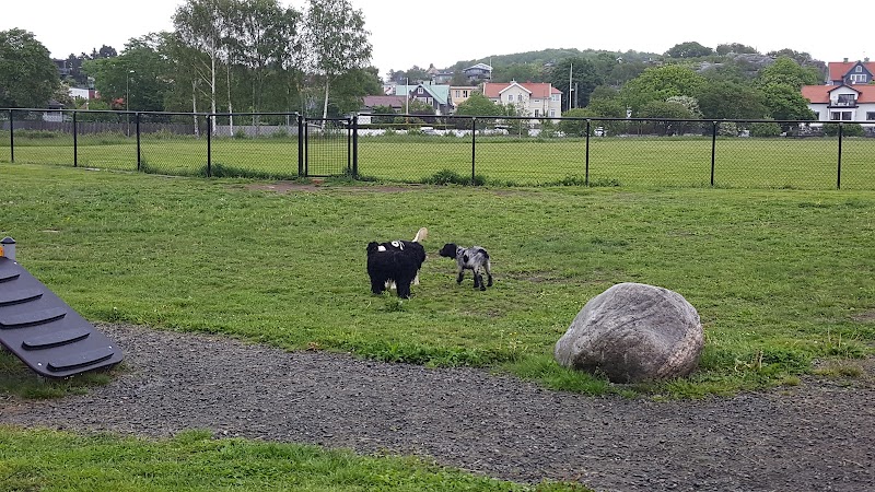 Hinsholmskilens hundrastgård